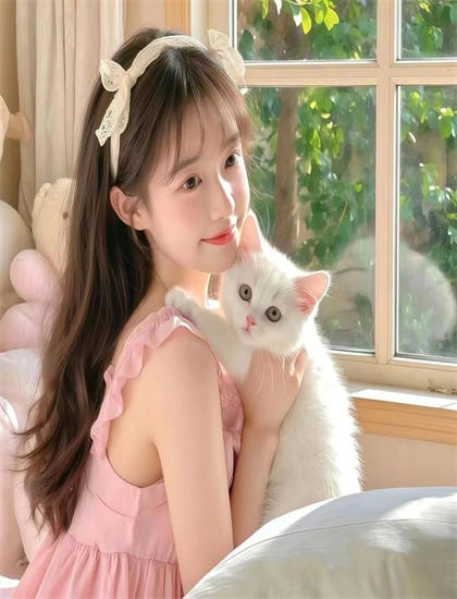 提名影片：《辛巴达与哈里发》媒体评价：主流媒体观点与专业影评解读